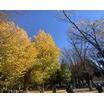 公園