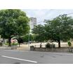 公園