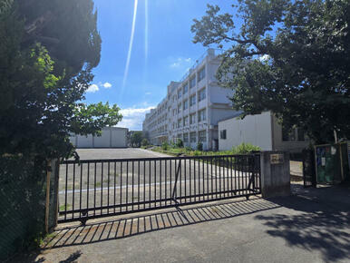 大和市立緑野小学校