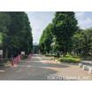 公園