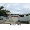 幼稚園、保育園