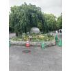 公園