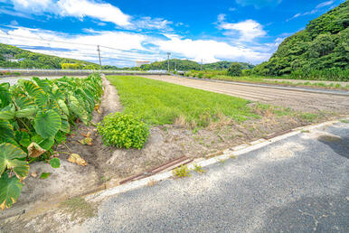 敷地と道路の高低差がほとんどなく、作業もしやすいです。