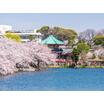 公園