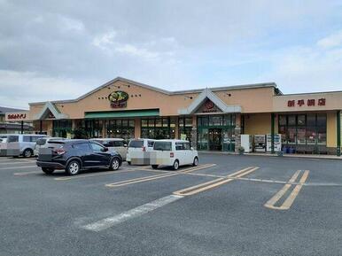 サンユーストアー新手綱店