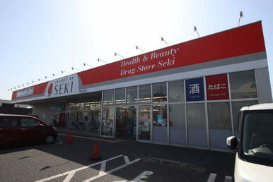 ドラッグストアＳＥＫＩ南古谷店