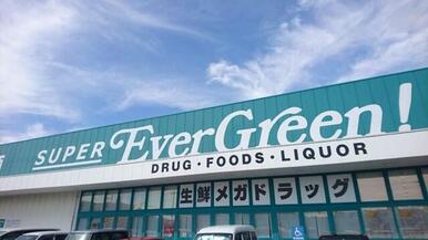 スーパーエバグリーン宮前店