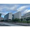 大学