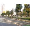 公園
