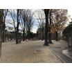 公園