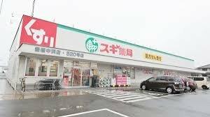 スギ薬局 豊橋中浜店