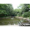 公園