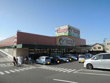 エブリィビッグデー富士宮店まで1100m
