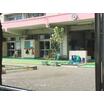 幼稚園、保育園