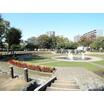 公園