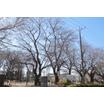 公園