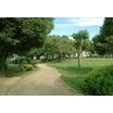公園