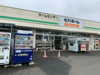 ビバホーム荒巻店