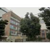 中学校