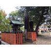 公園