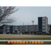 小学校