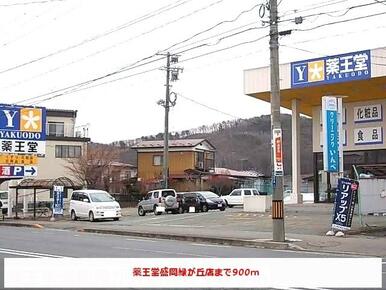 薬王堂盛岡緑が丘店
