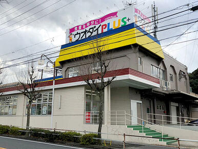 ウオダイプラス