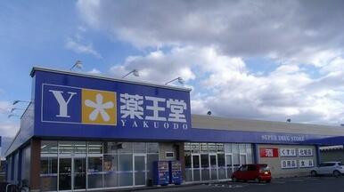 薬王堂