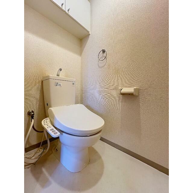 参考写真