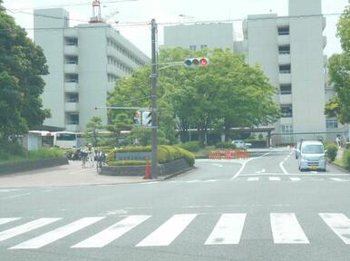 静岡県立総合病院