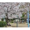 公園
