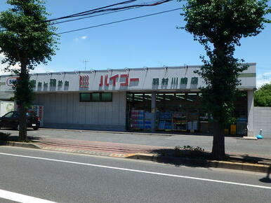 ドラッグストアバイゴー羽村川崎店