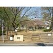 公園