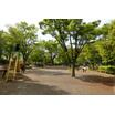 公園