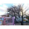 幼稚園、保育園