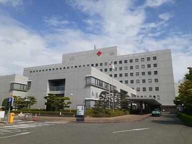 日本赤十字病院