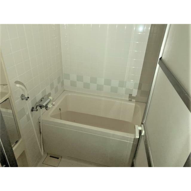 ２０２６年２月撮影