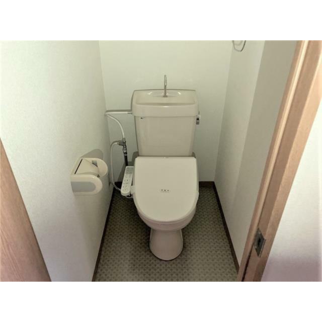 ２０２６年２月撮影