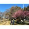 公園