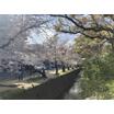 周辺環境