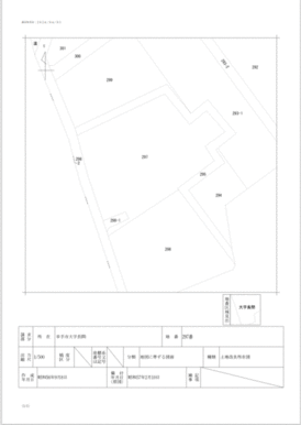 ２９８－１は地目公衆用道路の扱いになります。