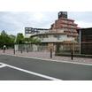 幼稚園、保育園