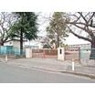小学校