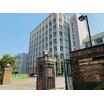 大学