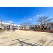公園