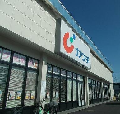 カワチ薬品 田沼店