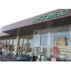 販売店