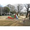 公園