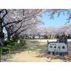 公園