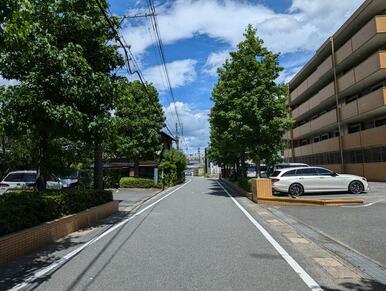 前面道路　東側